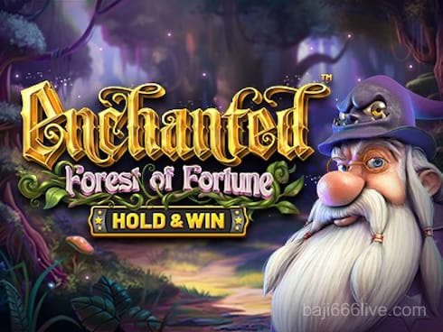Enchanted_ Forest of Fortune - Hold and Win
